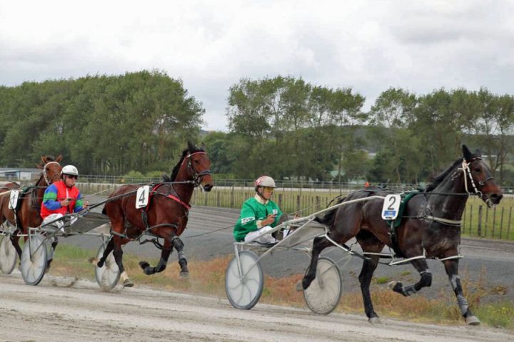 2 year old standardbreds