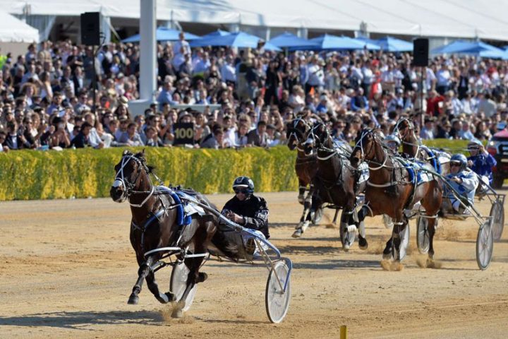 Lazarus NZ Cup