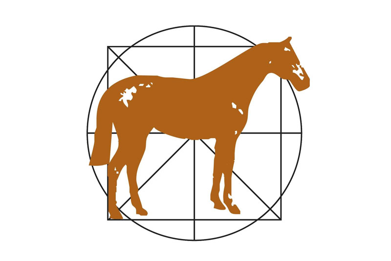 NZERF