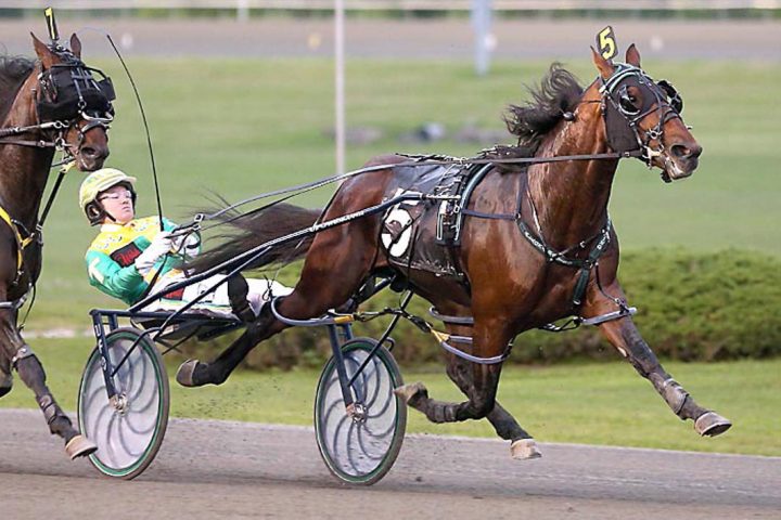 Captaintreacherous