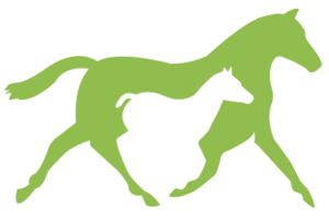 NZSBA